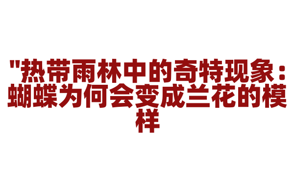 "热带雨林中的奇特现象：蝴蝶为何会变成兰花的模样？"